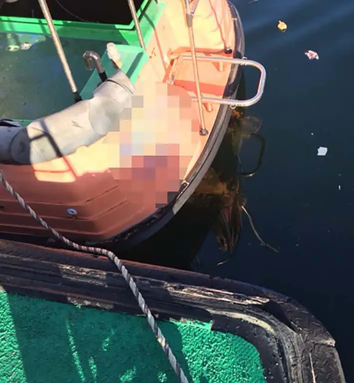 Lotsenboot zu verkaufen
