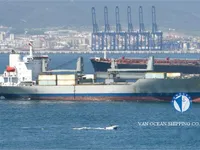 Kühlschiff zu verkaufen