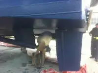 Crew-Boot zu verkaufen
