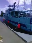 Trawler zu verkaufen