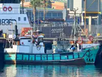 Purse seiner zu verkaufen