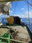 Purse seiner zu verkaufen