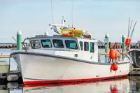 Purse-Seiner zu verkaufen