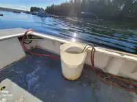 Fischverarbeitungsboot zu verkaufen