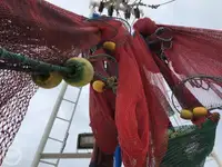 Trawler zu verkaufen