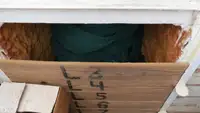 Trawler zu verkaufen