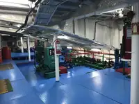 Ro-Ro ship zu verkaufen