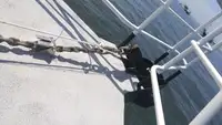 Crew-Boot zu verkaufen