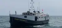 Schleppboot zu verkaufen
