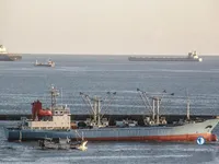 Kühlschiff zu verkaufen