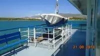 Ro-Ro ship zu verkaufen
