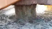 Bagger zu verkaufen