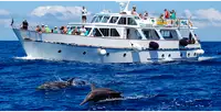 Kreuzfahrtschiff zu verkaufen