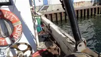 Trawler zu verkaufen