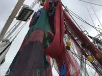 Trawler zu verkaufen