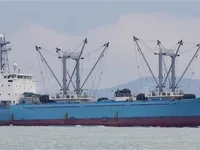 Kühlschiff zu verkaufen