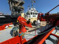 General Cargo/Multi-purpose zu verkaufen