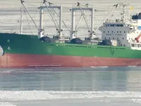 Kühlschiff zu verkaufen