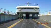 Ro-Ro ship zu verkaufen