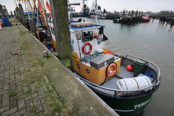 Trawler zu verkaufen