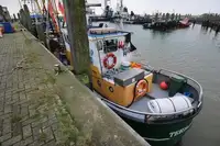 Trawler zu verkaufen
