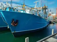 Trawler zu verkaufen