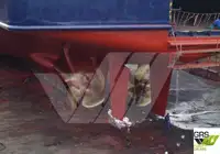 Ro-Ro-Schiff zu verkaufen