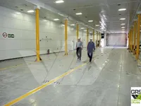 RoPax-Schiff zu verkaufen