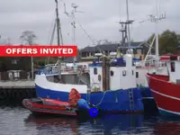 Beam-Trawler zu verkaufen