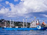 Kühlschiff zu verkaufen