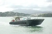 Landungsboot, Tank zu verkaufen