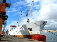 Kühlschiff zu verkaufen
