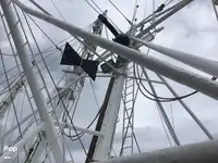 Trawler zu verkaufen
