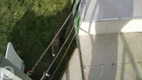 Containerschiff zu verkaufen
