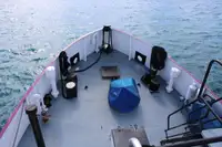 General Cargo/Multi-purpose zu verkaufen