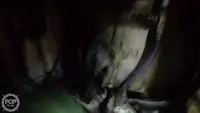Trawler zu verkaufen