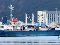 Kühlschiff zu verkaufen