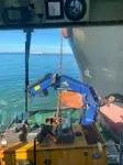 Schleppboot zu verkaufen
