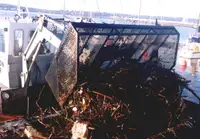 Barges zu verkaufen