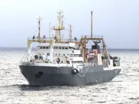 Trawler zu verkaufen