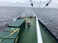Kühlschiff zu verkaufen