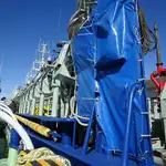 Purse seiner zu verkaufen