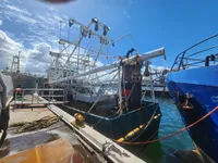 Trawler zu verkaufen