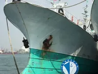 Langlinienschiff zu verkaufen