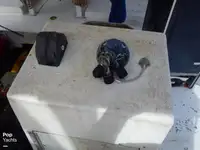 Trawler zu verkaufen