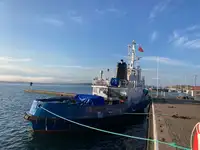 Schleppboot zu verkaufen