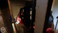 Trawler zu verkaufen