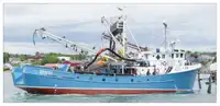 Purse-Seiner zu verkaufen