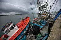 Purse-Seiner zu verkaufen
