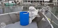 Trawler zu verkaufen